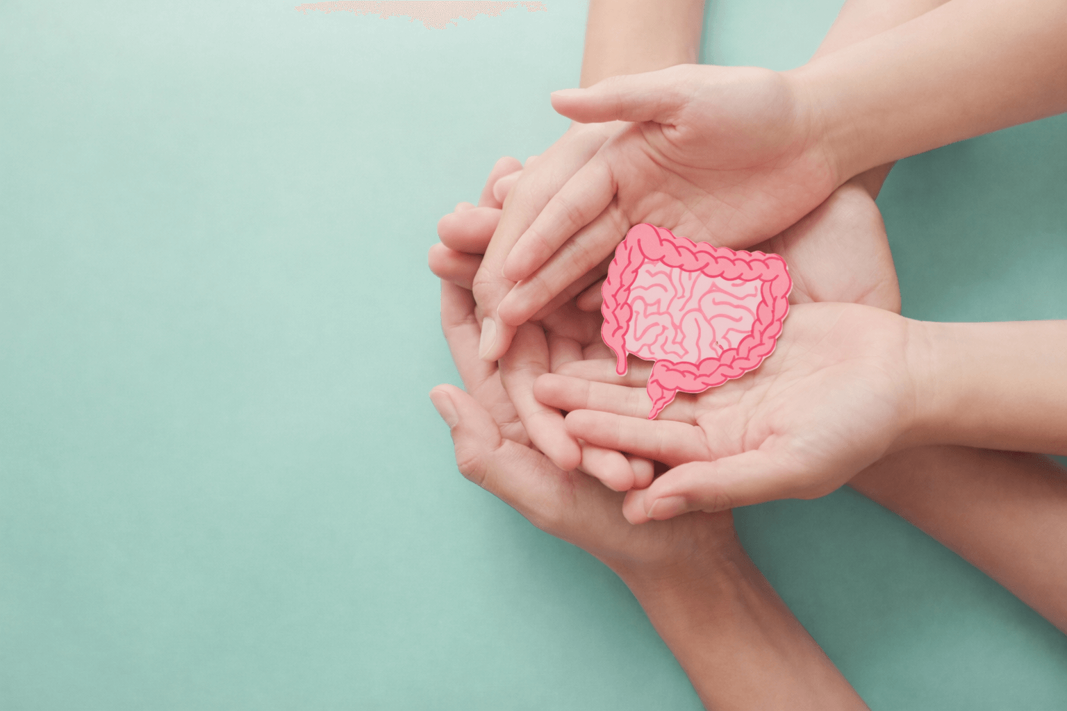 Ayurvedic Gut Health