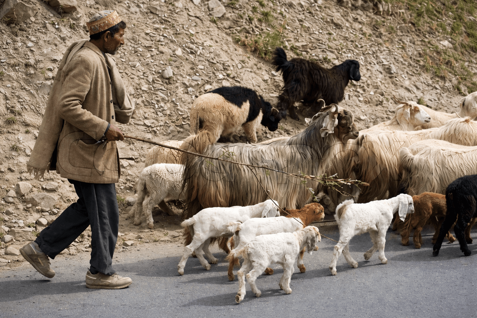 Community Based Care