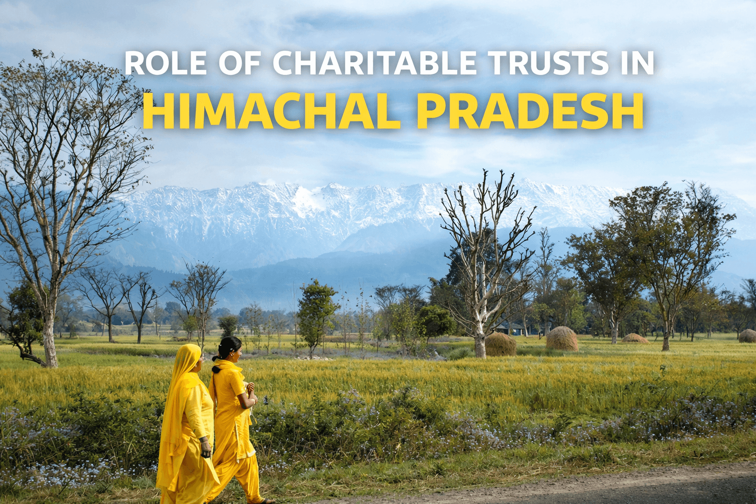 Role of Charitable Trusts